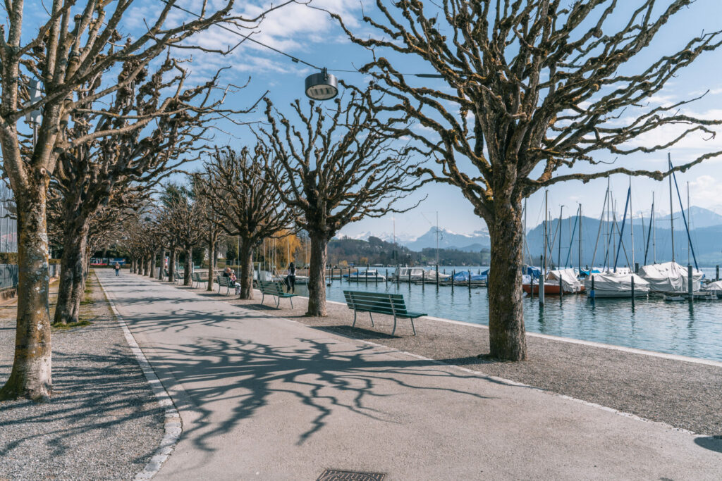 Carl Spitteler Quai - flanieren am See
